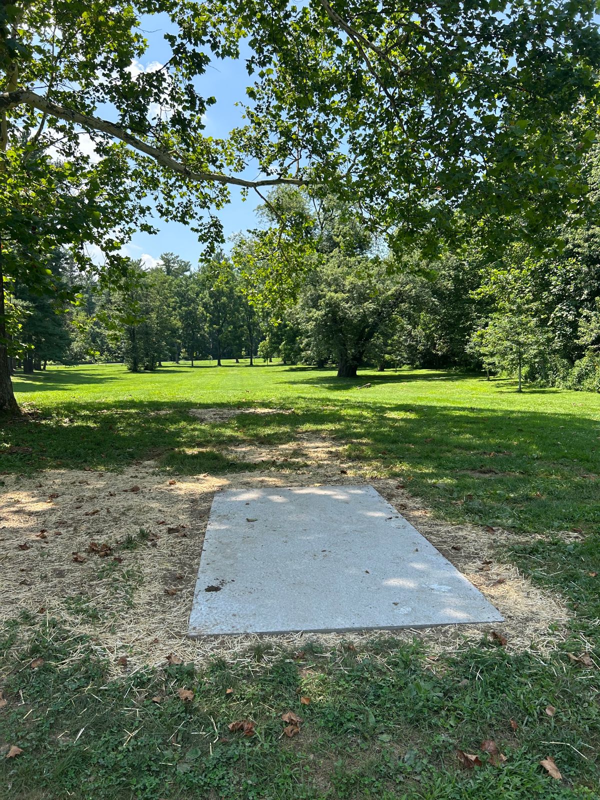 New concrete tee pad for hole #8