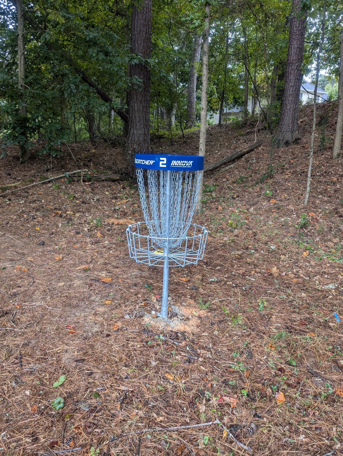 Nice baskets