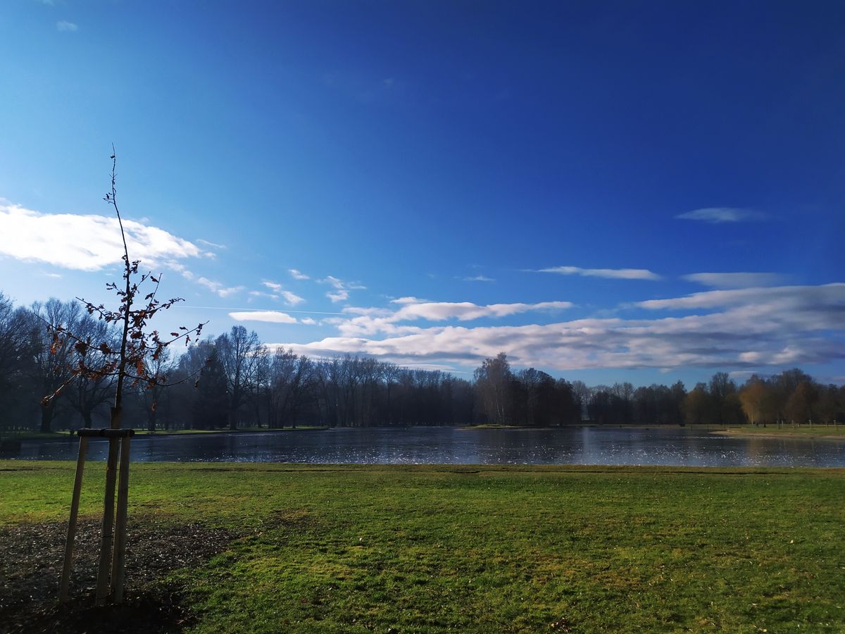 "Bagr" pond