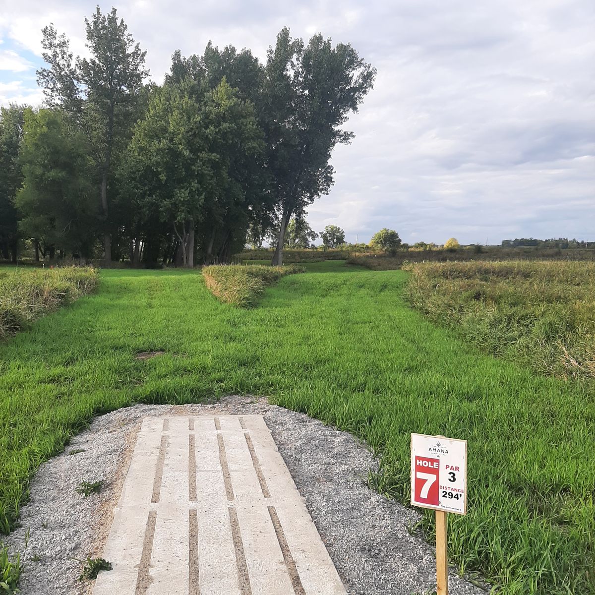 Hole 7 Pad