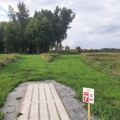 Hole 7 Pad
