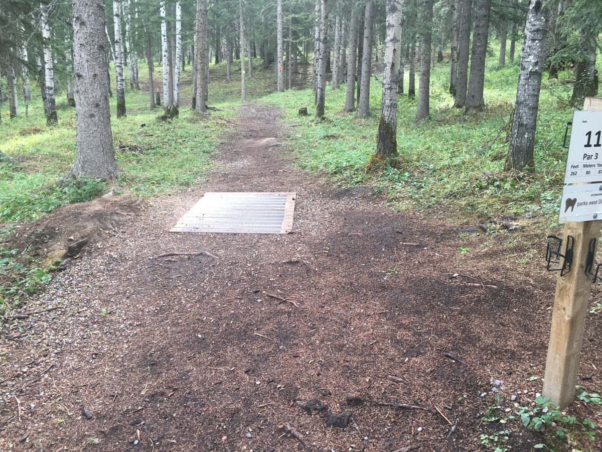 Tee pad 11.🇨🇦🪵🇨🇦🪵🇨🇦