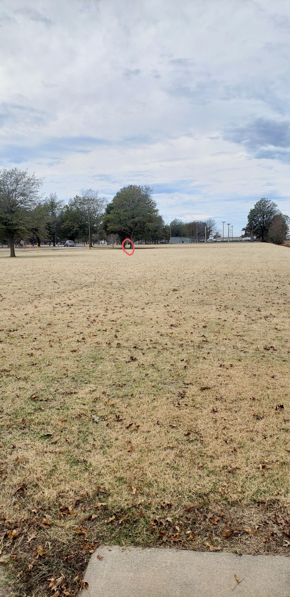 Hole 16 - main basket location