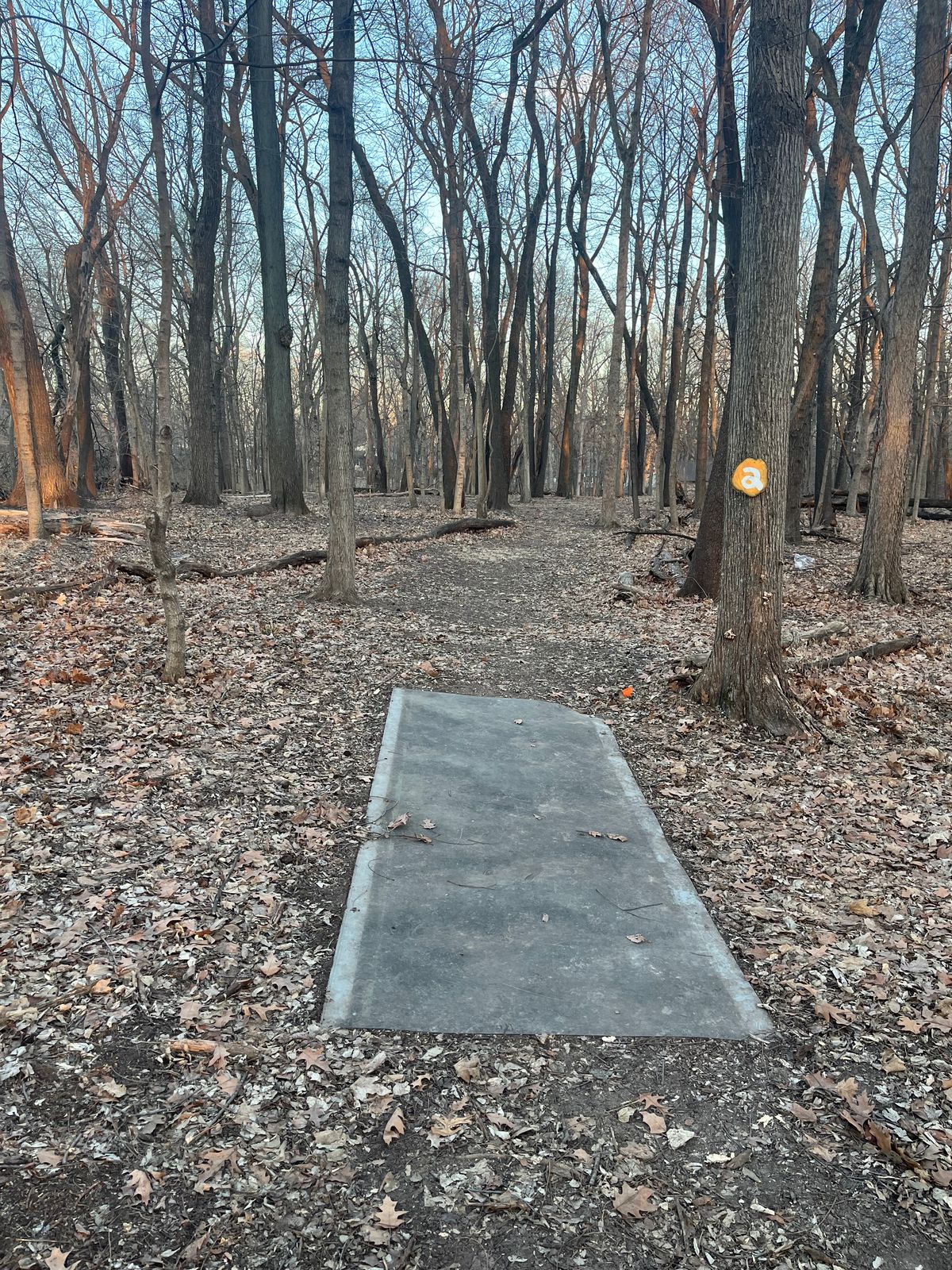 Hole 2 / 11 tee pad