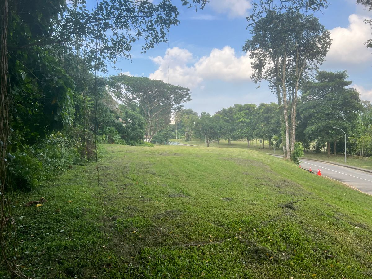 Hole 3 Tee area with OB road on right.
