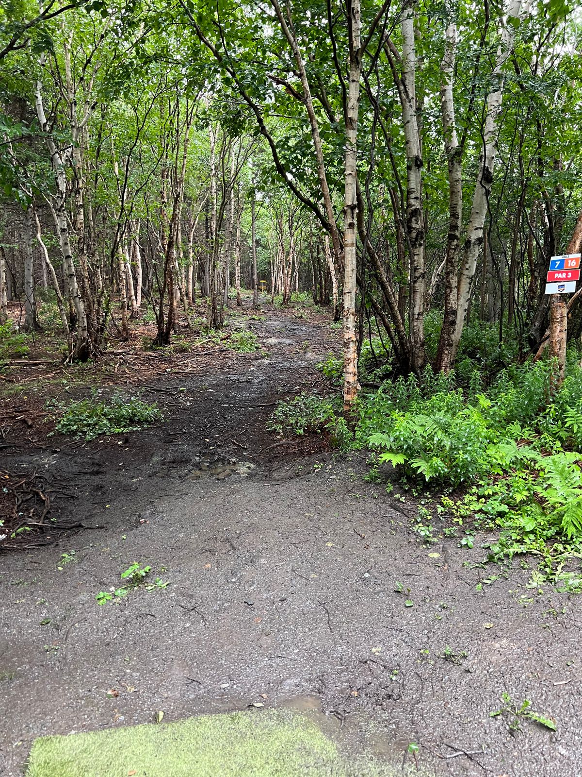 Hole 16 Tee