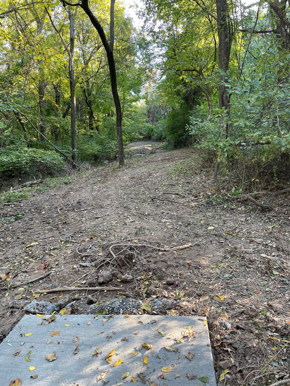 Hole 14 tee
