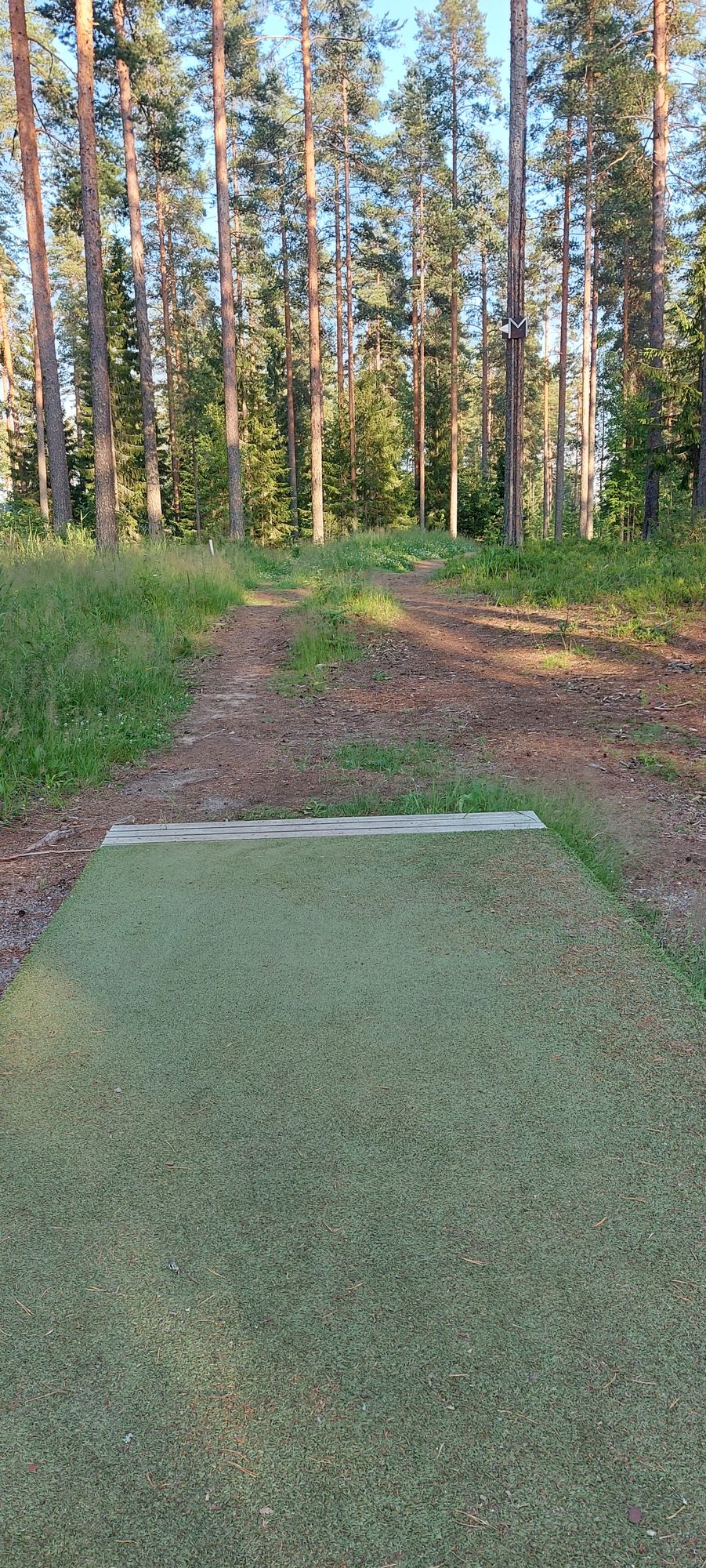 Tarinalaakso New Course tee 8