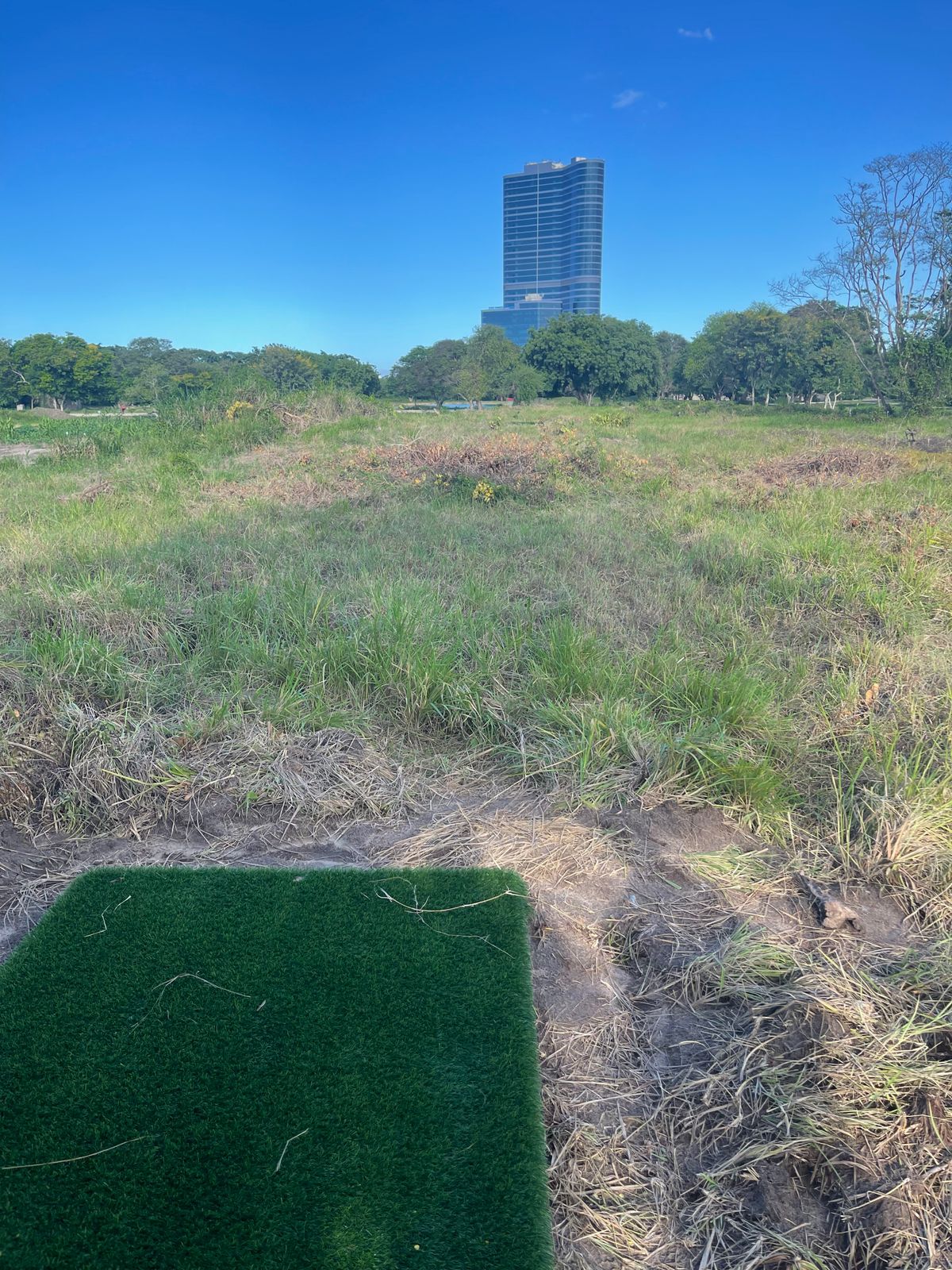 Hole 7 Long Pad