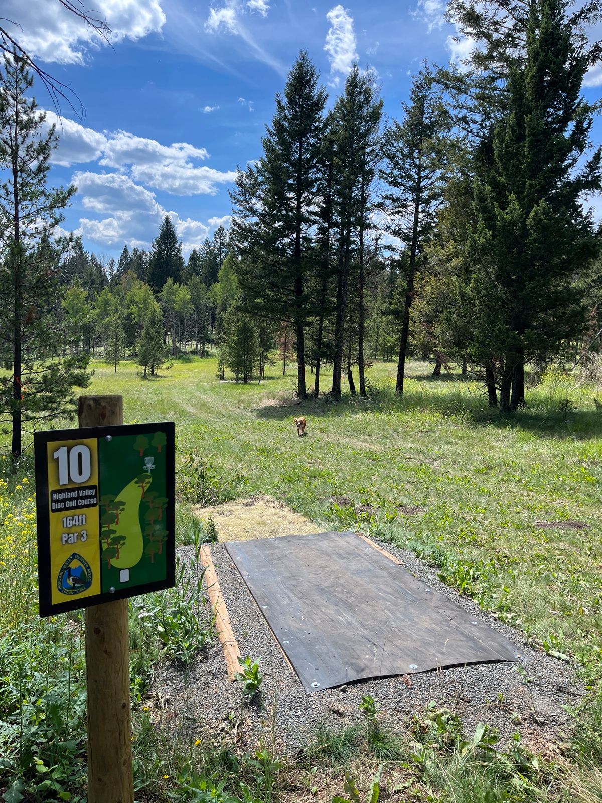 Hole 10