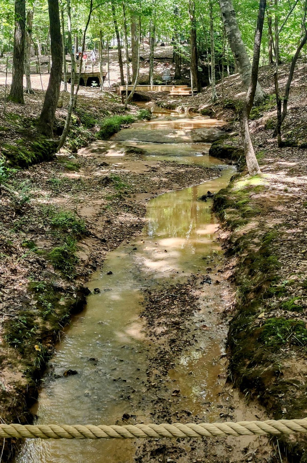 Hole 7 view from tee pad