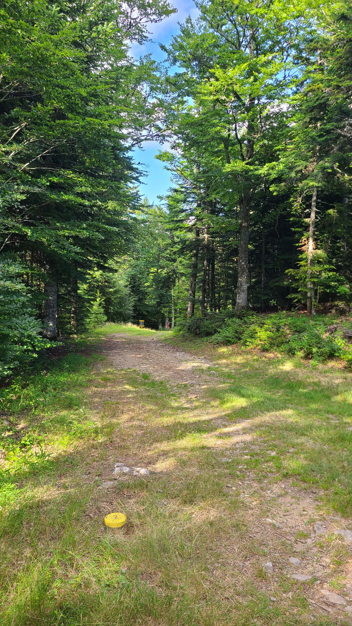 2 Débutant