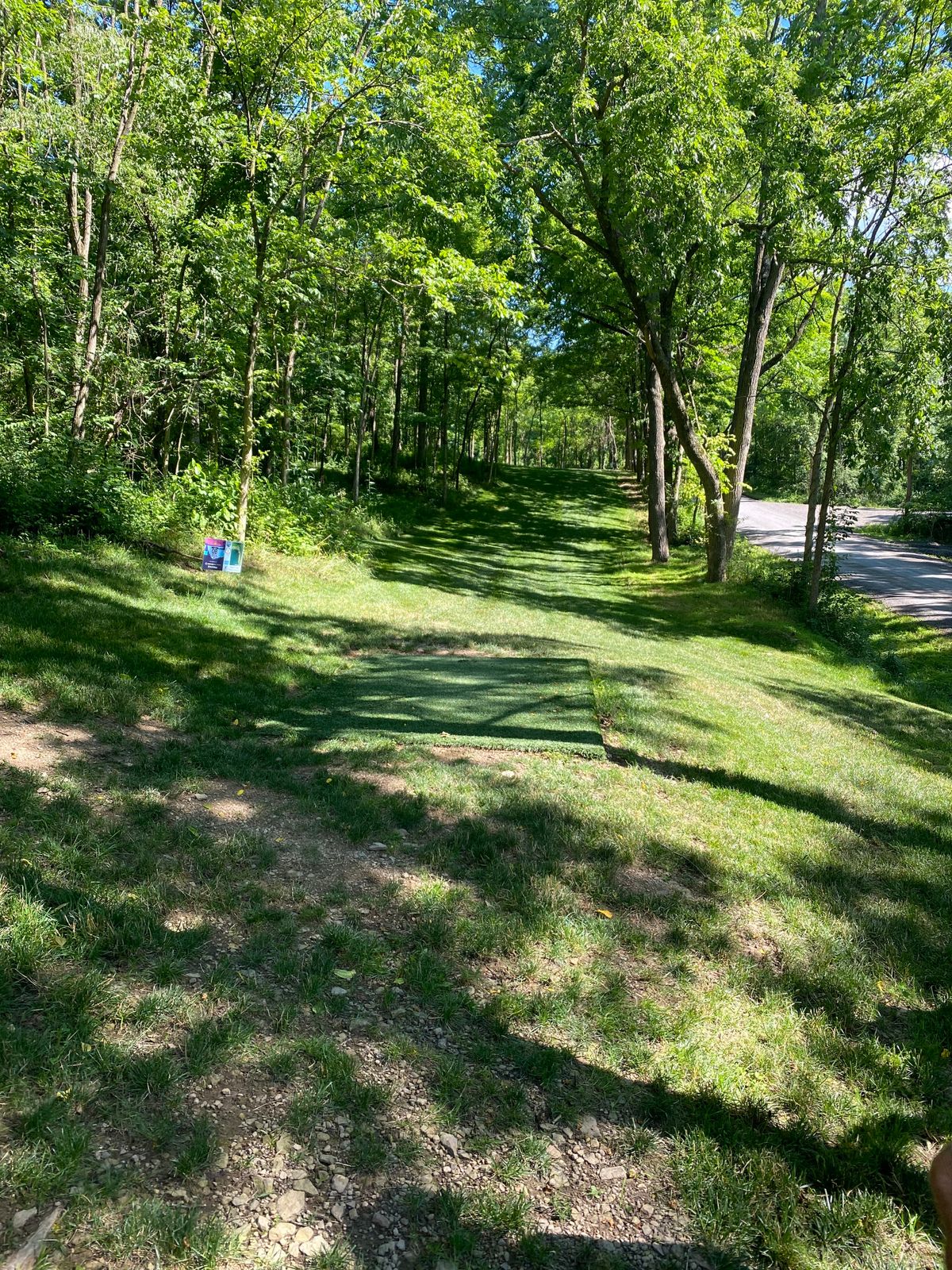 Hole 1 gold tee