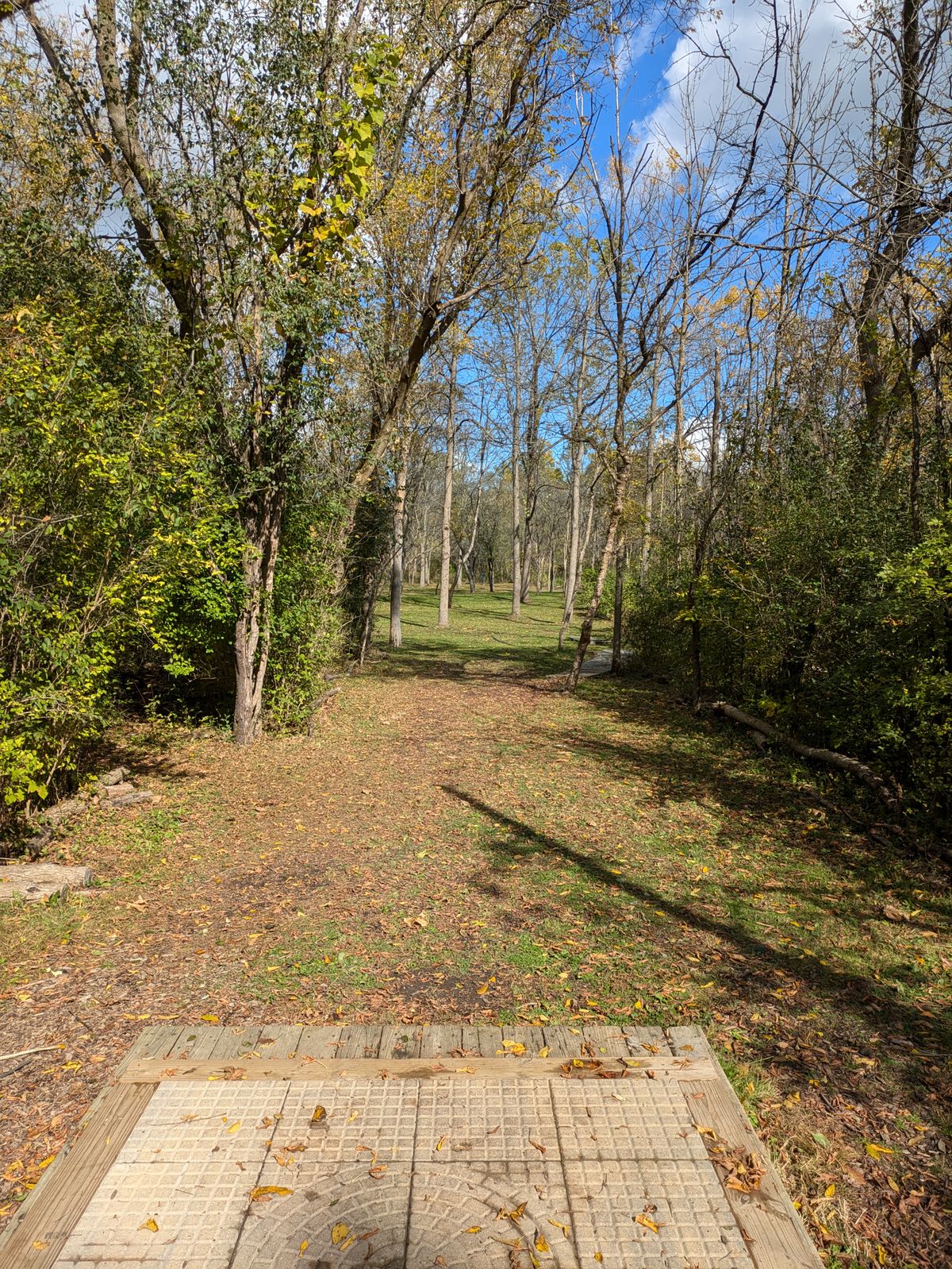 Johnson Park DGC