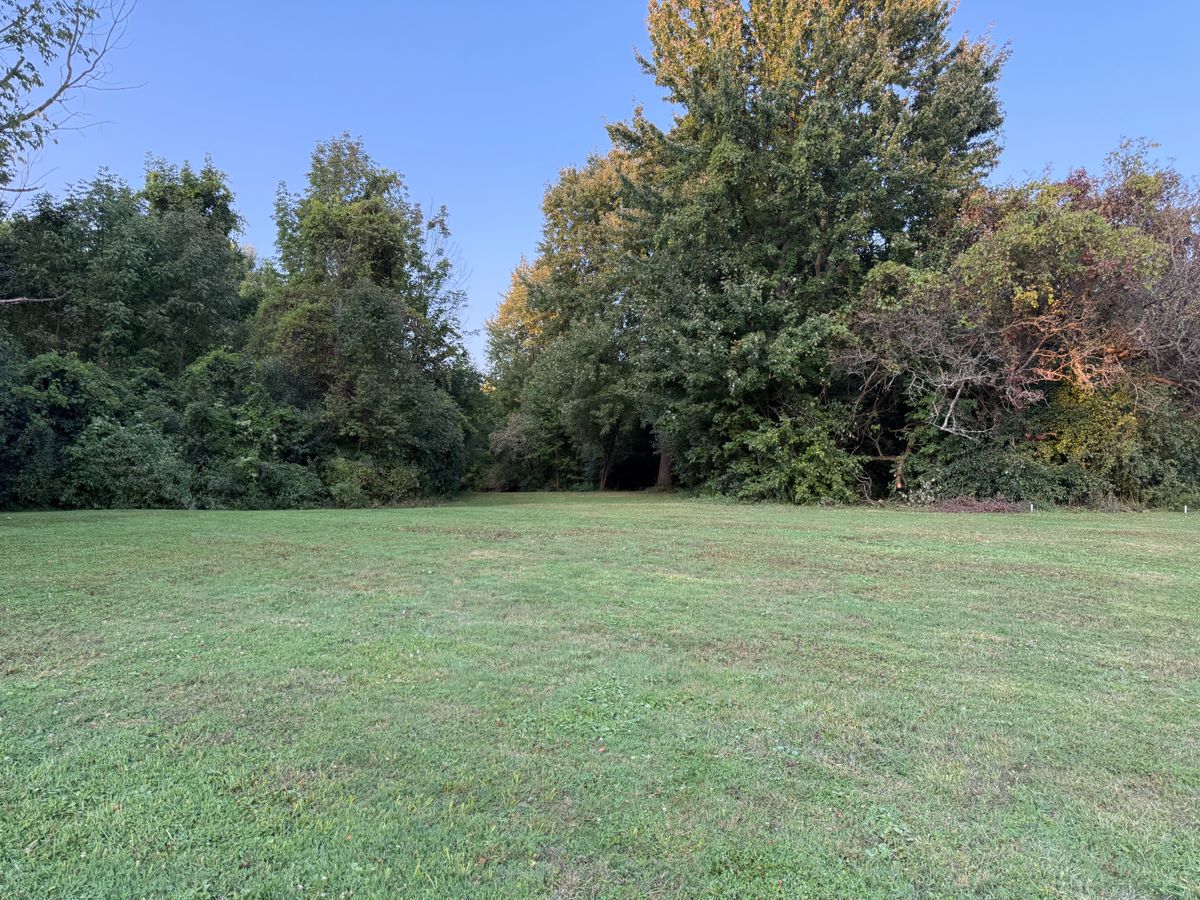 Hole 6 Fairway