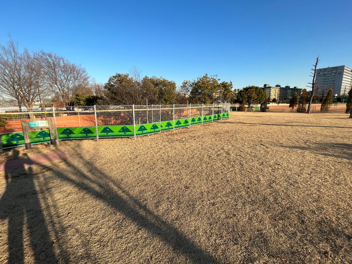Tee 6 with basket near tree at the end of the construction fence