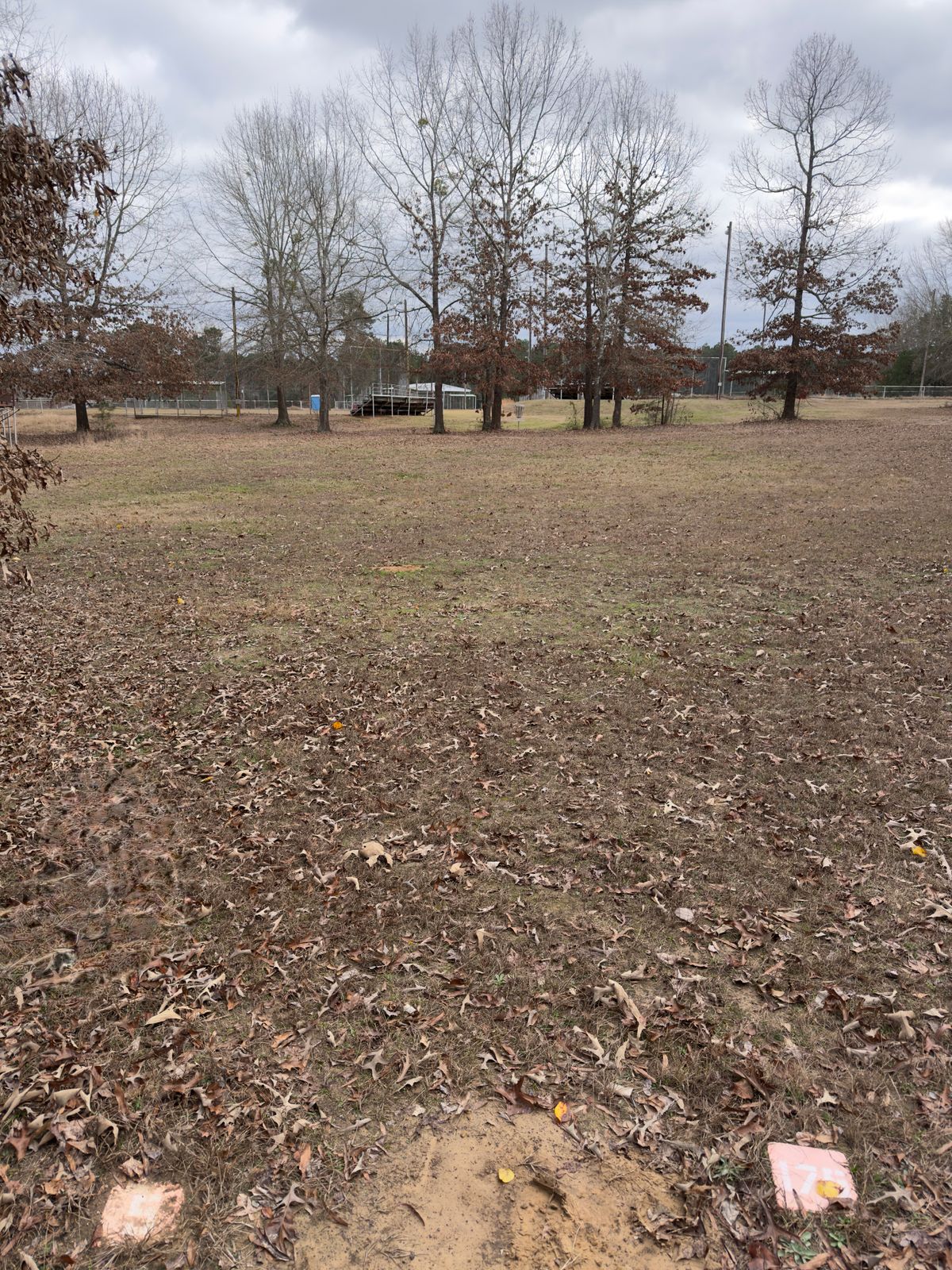 Hole 5, basket straight ahead in group of trees