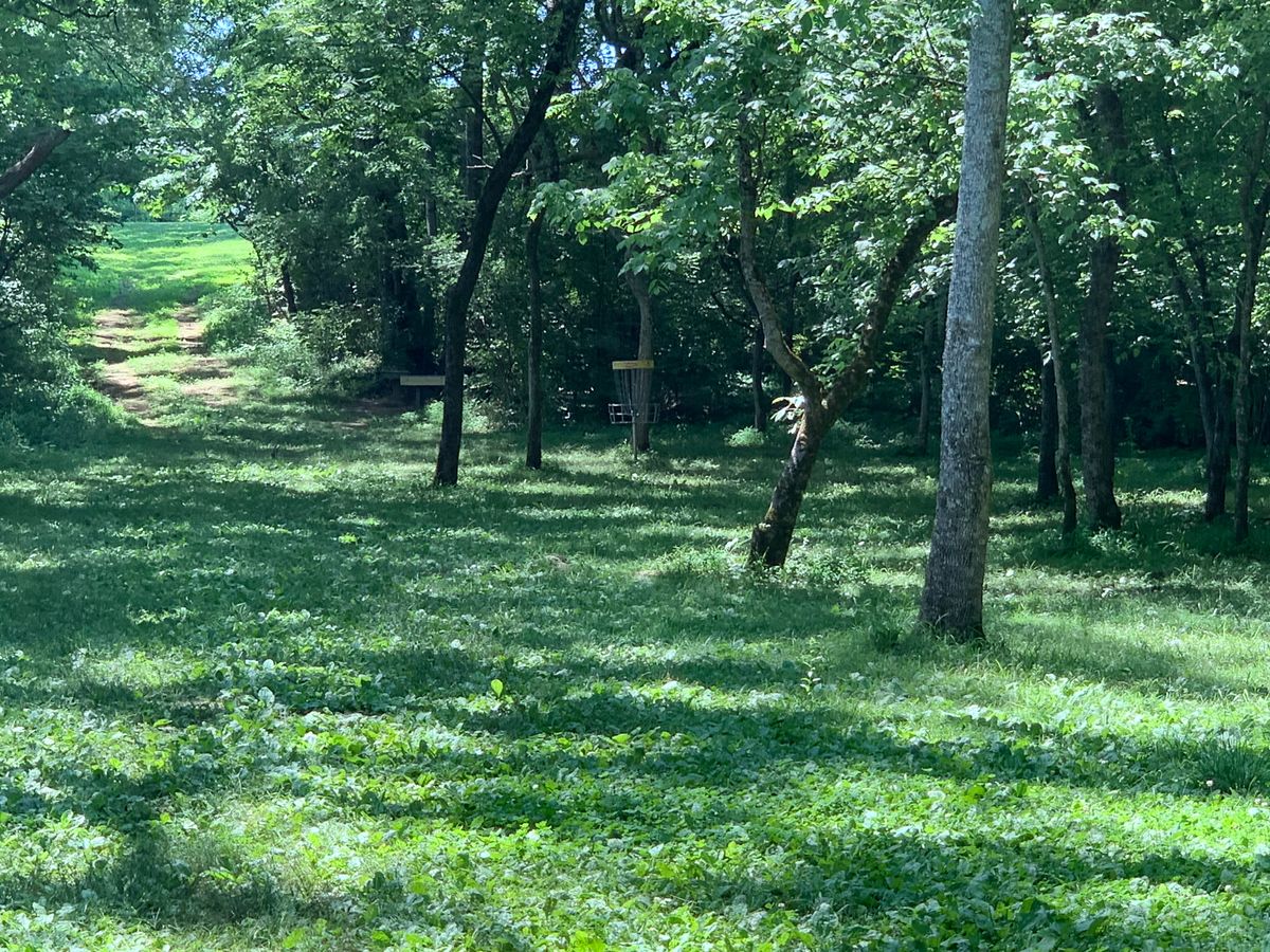 Hole 5