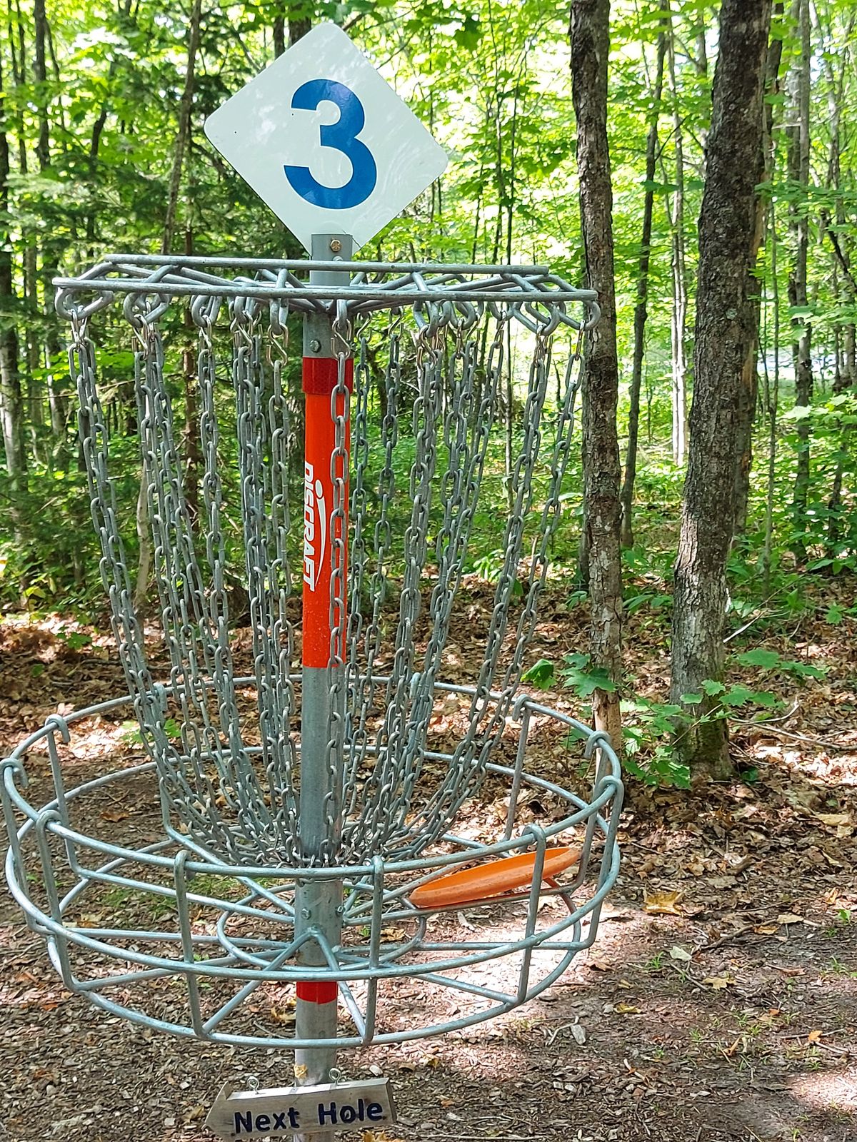 Putting on hole 3.🪵🪵🪵🪵