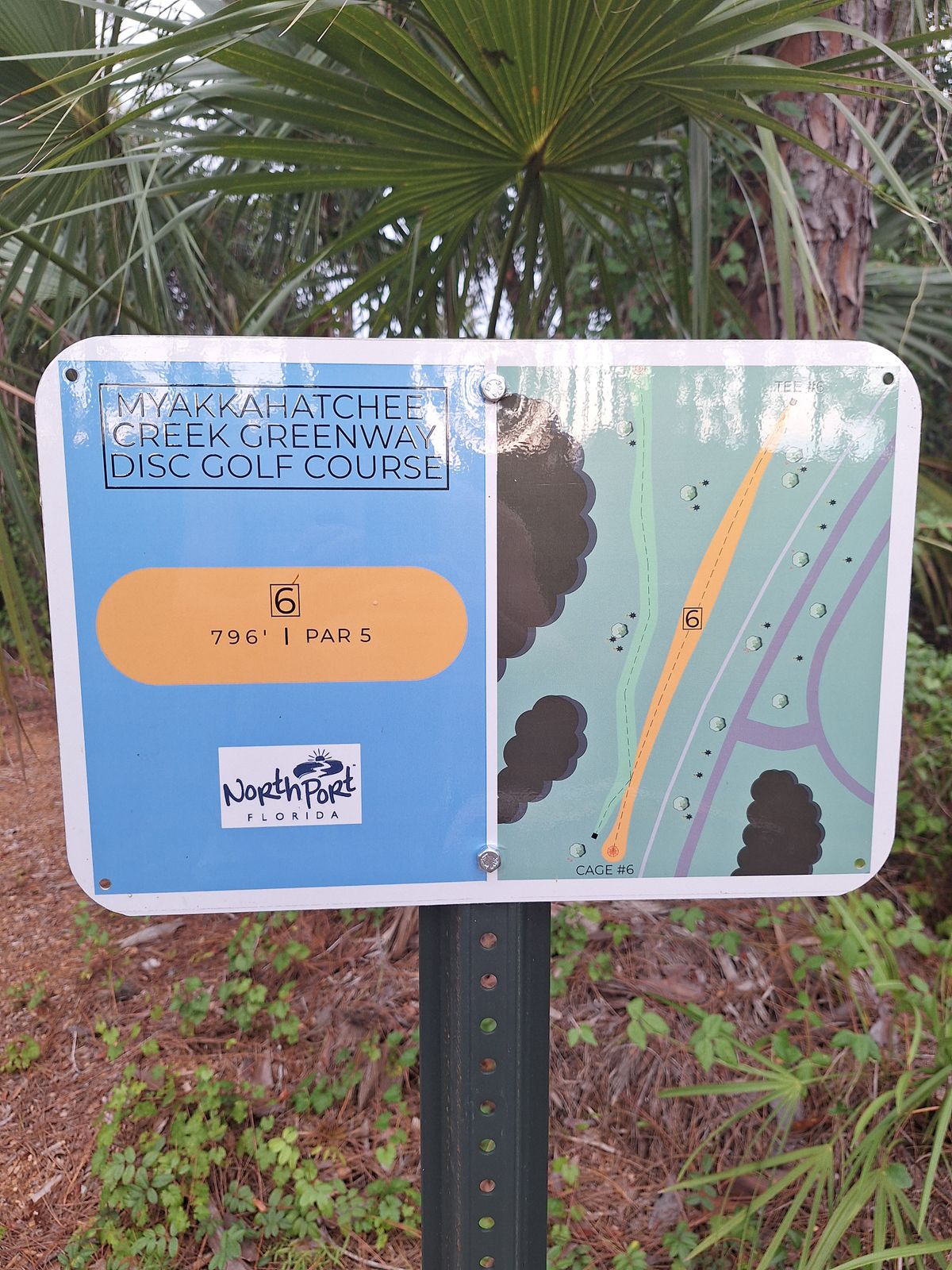 Hole 6