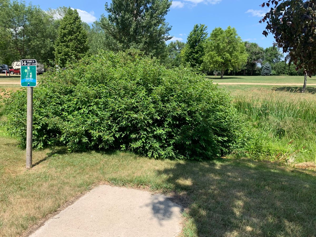 View of hole 14.