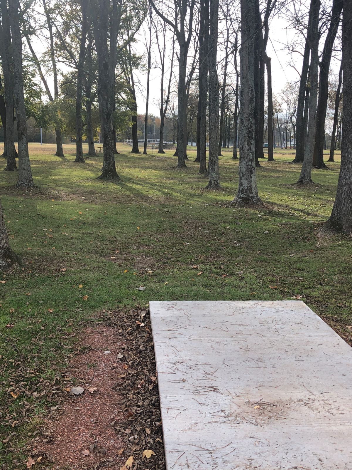 First tee