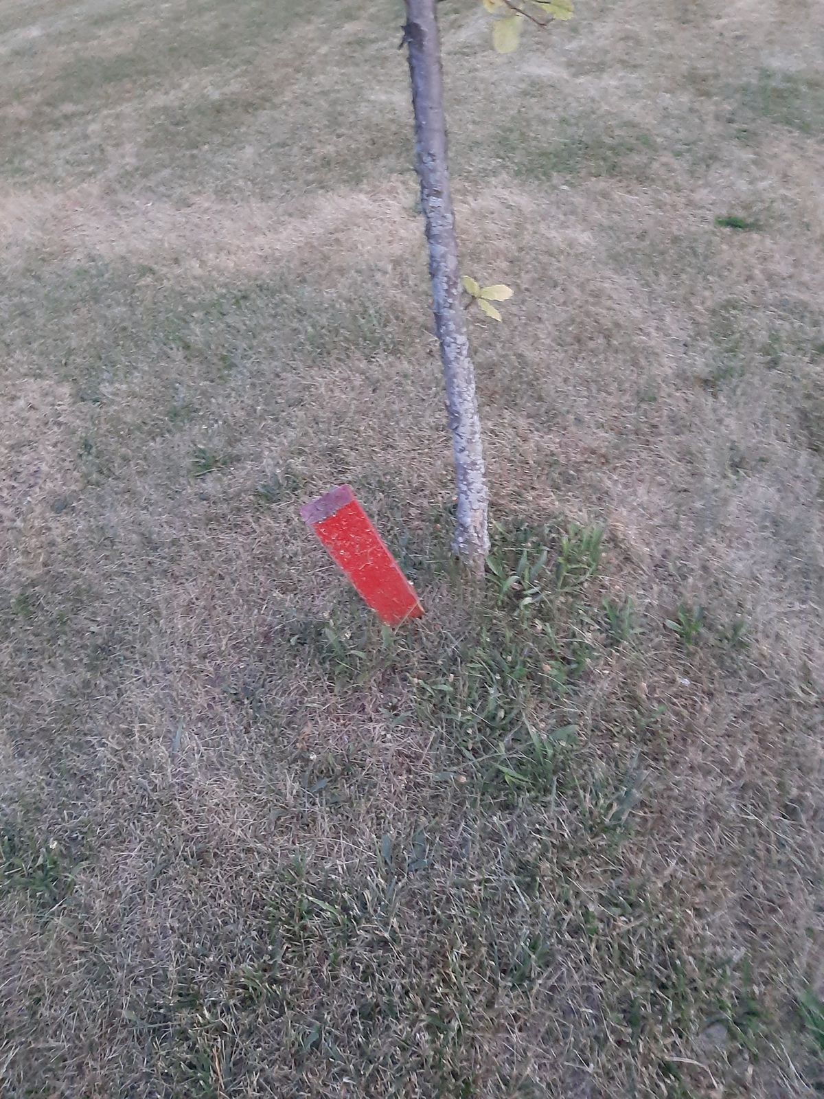 This is a tee marker
Keep your eyes open. Or you'll miss them