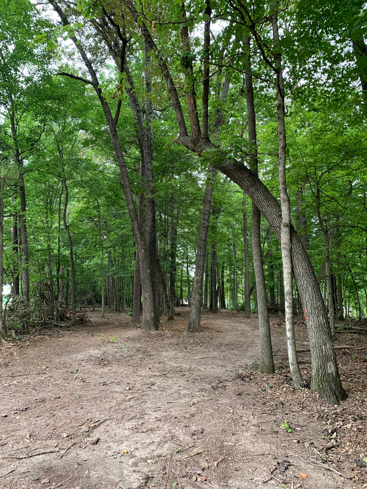 Hole 6 fairway.