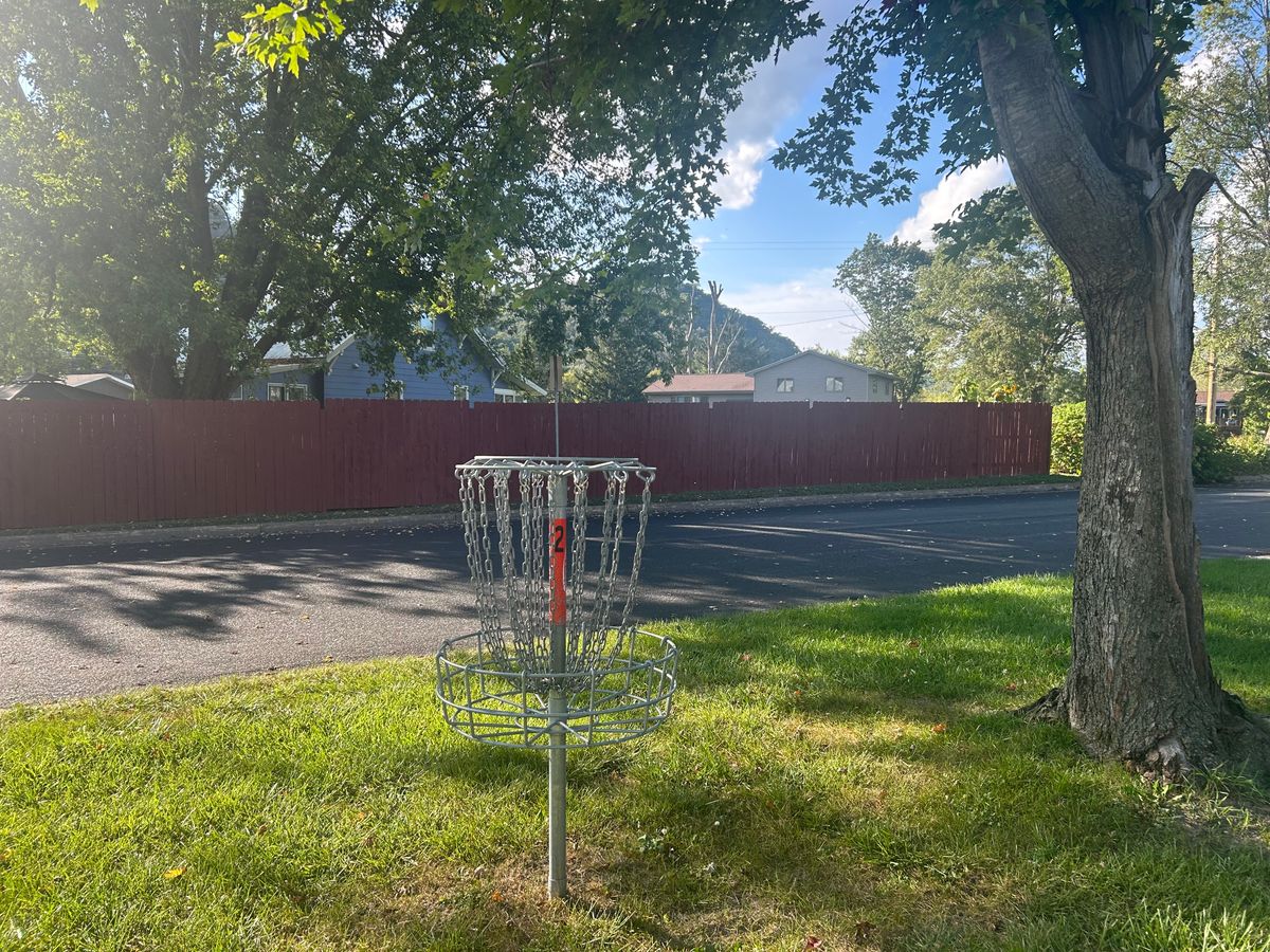 Hole 2 basket