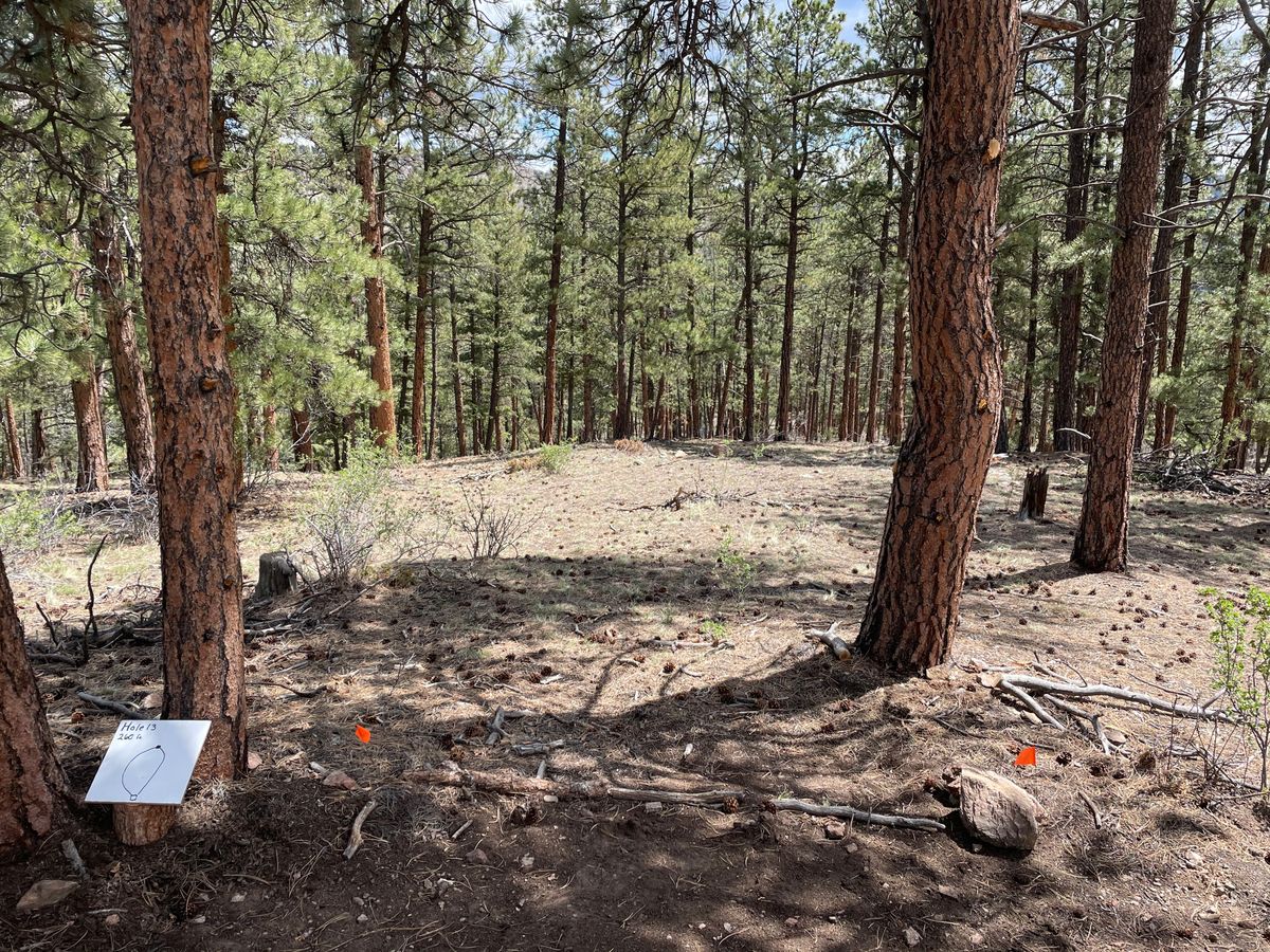 Tee Pad Hole 11 — two paths to the basket