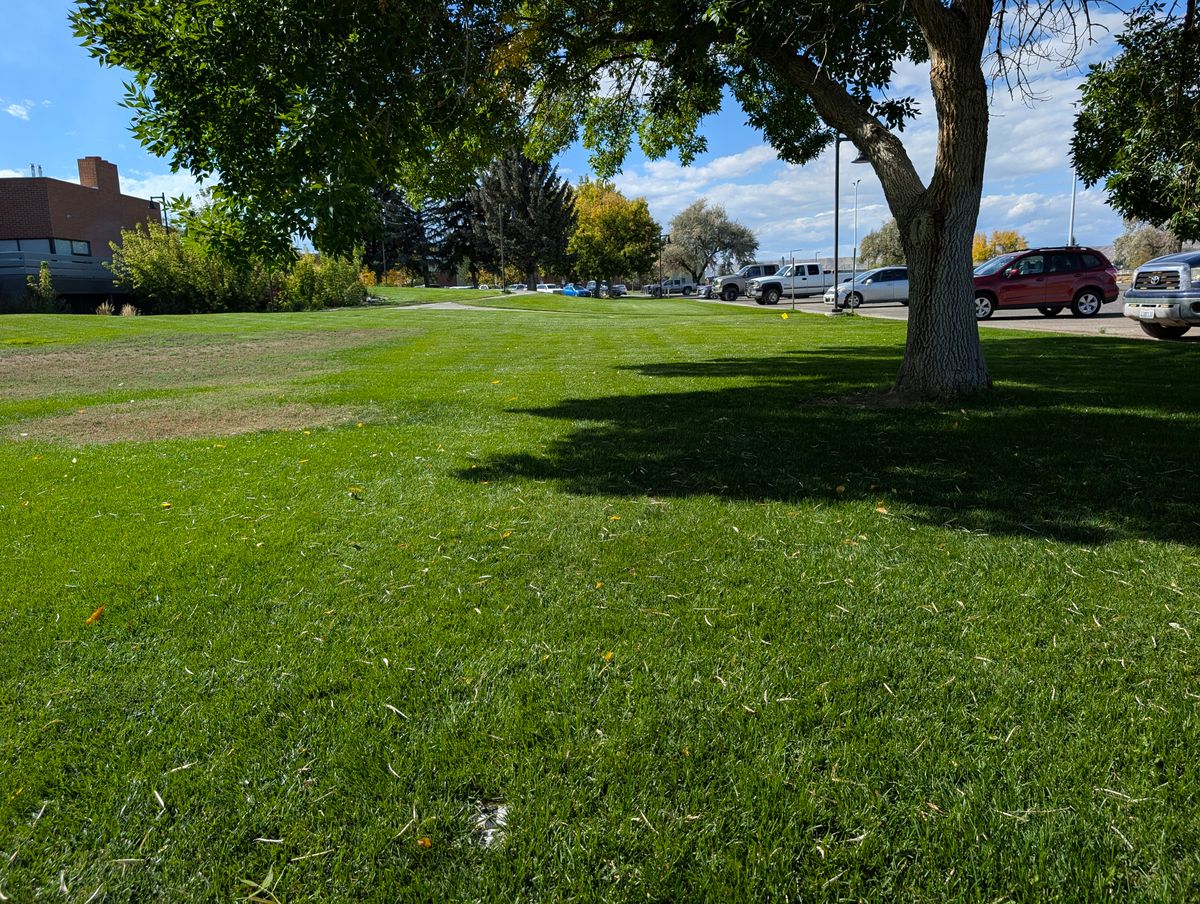 Northwest College