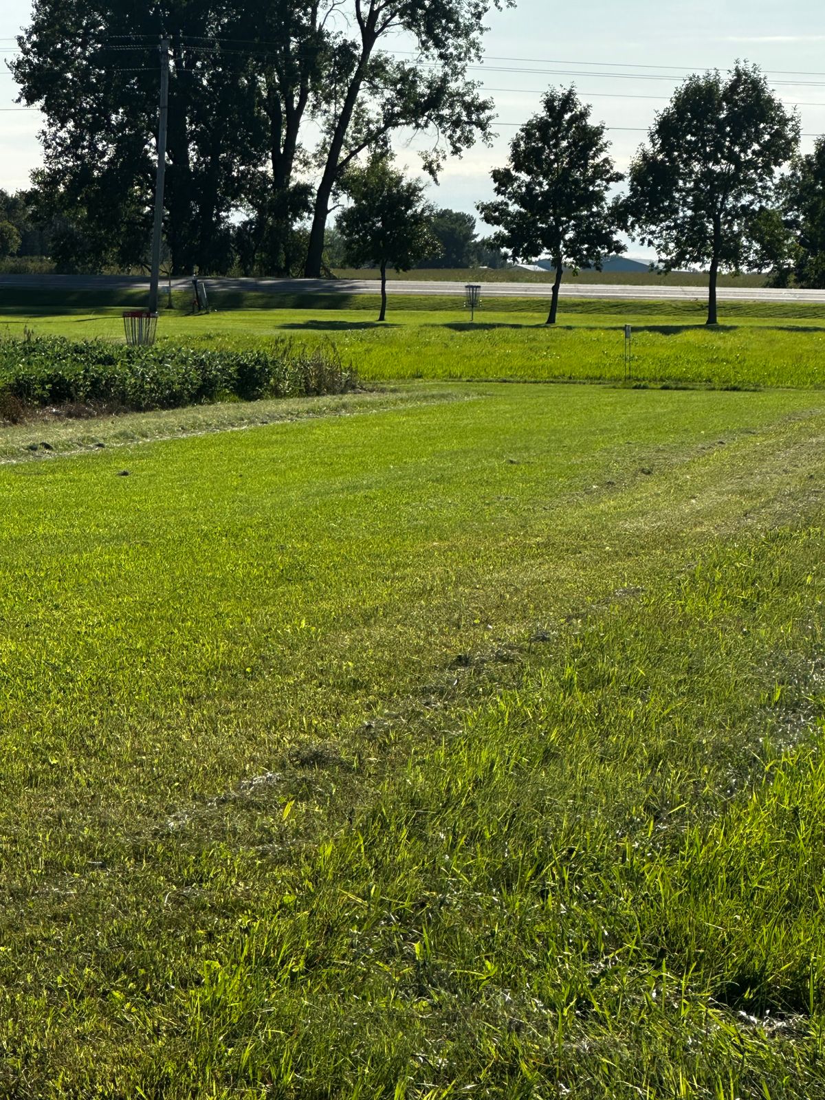 Hole 14 pin