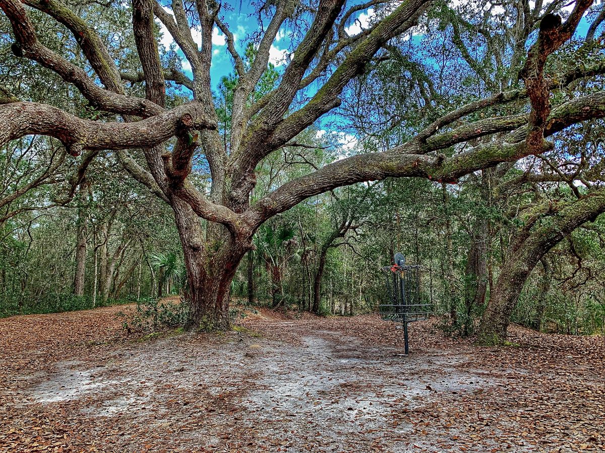 Hole 10 Green