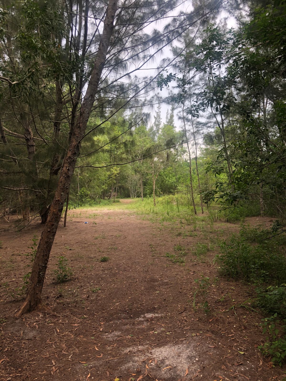 Hole 1