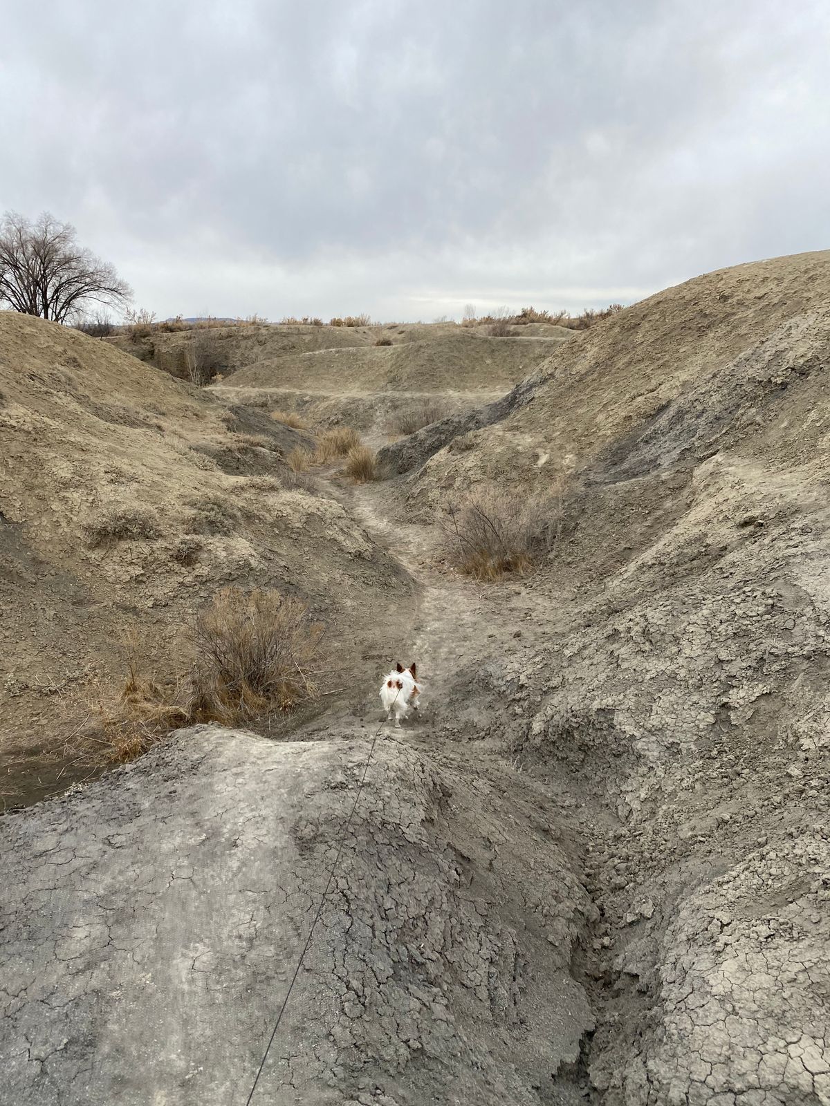 Hole 8
