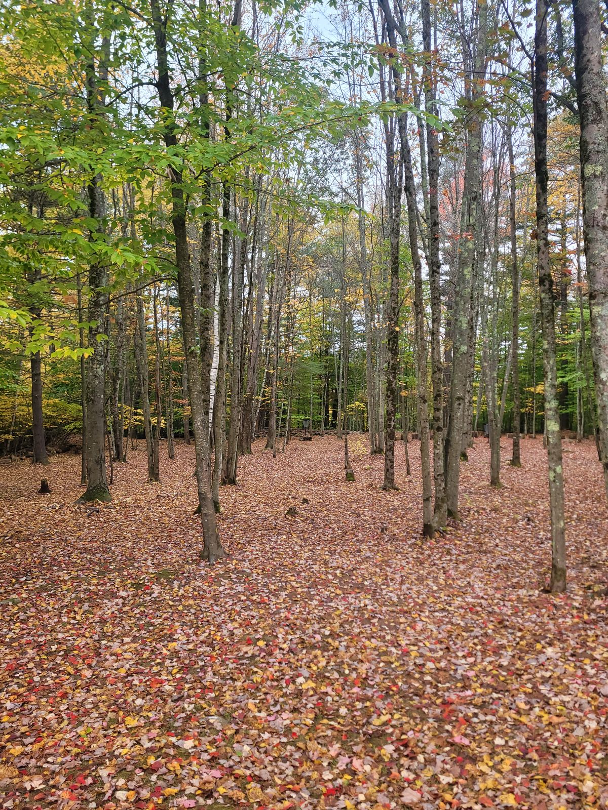 Hole 6 fairway