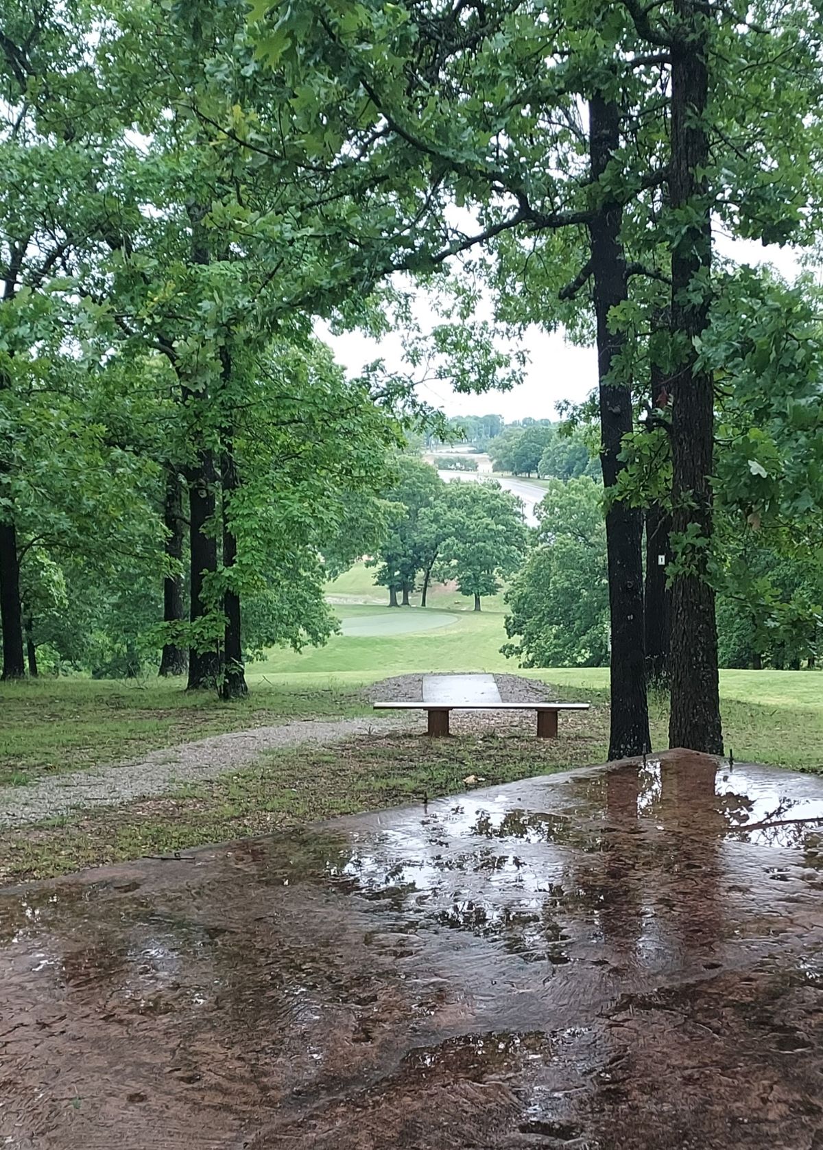Hole 1 after the rain, still spectacular!
