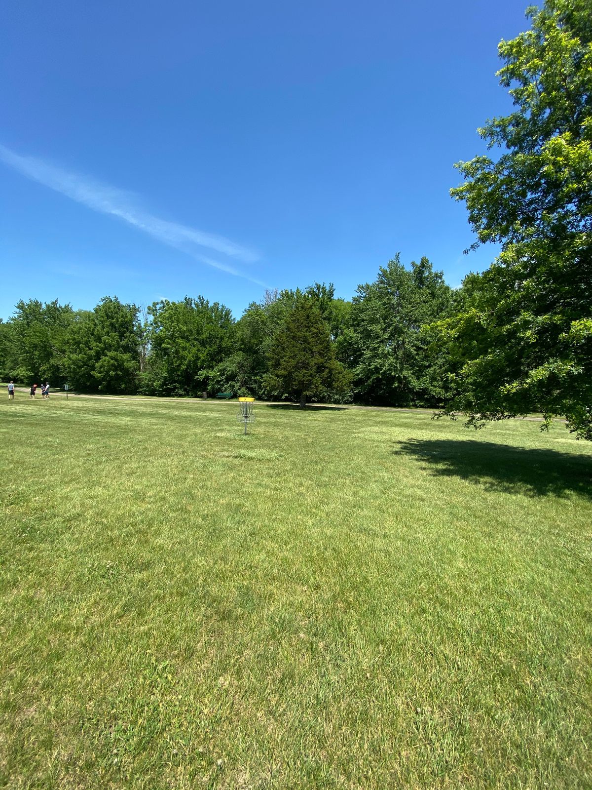 Hole 7 Green
