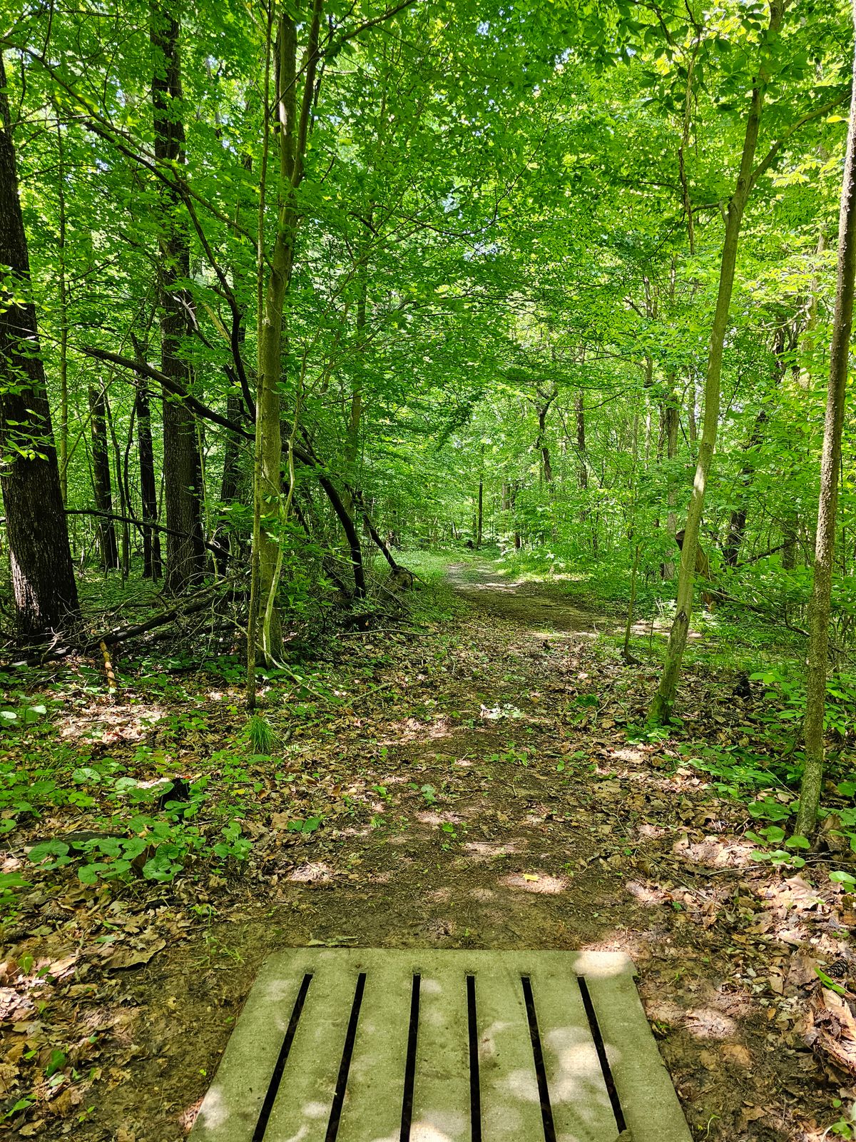 Hole 14
