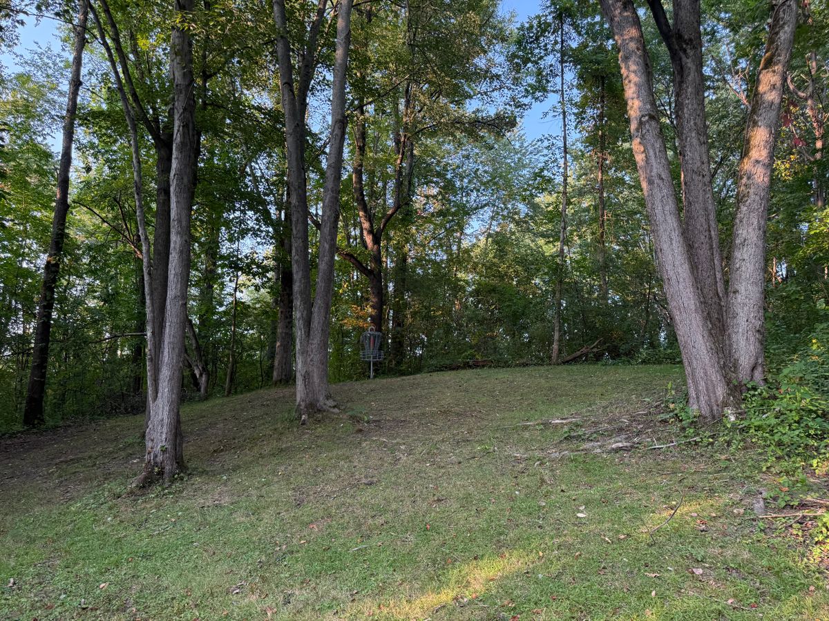 Hole 4 Green