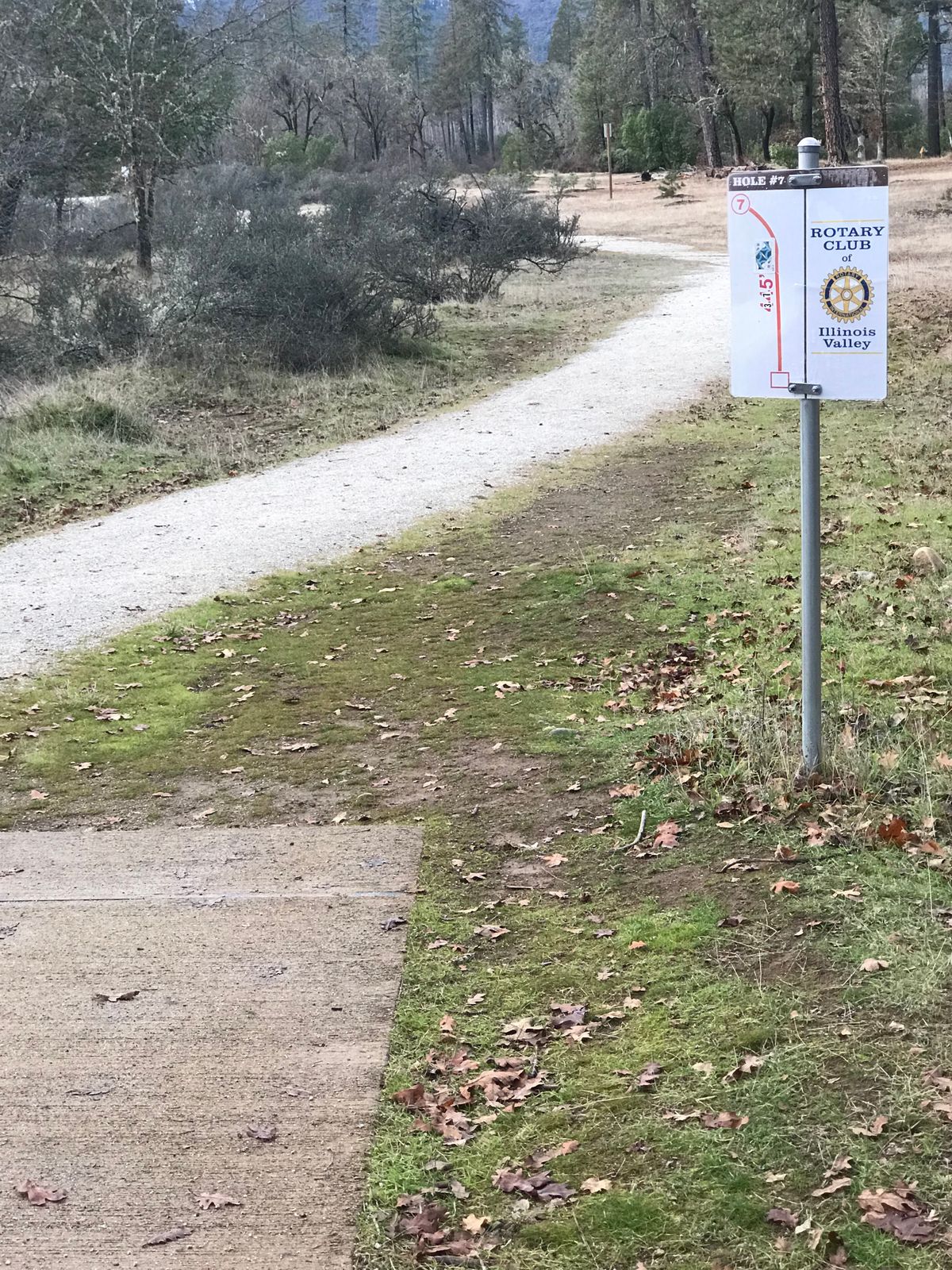 Tee 7
