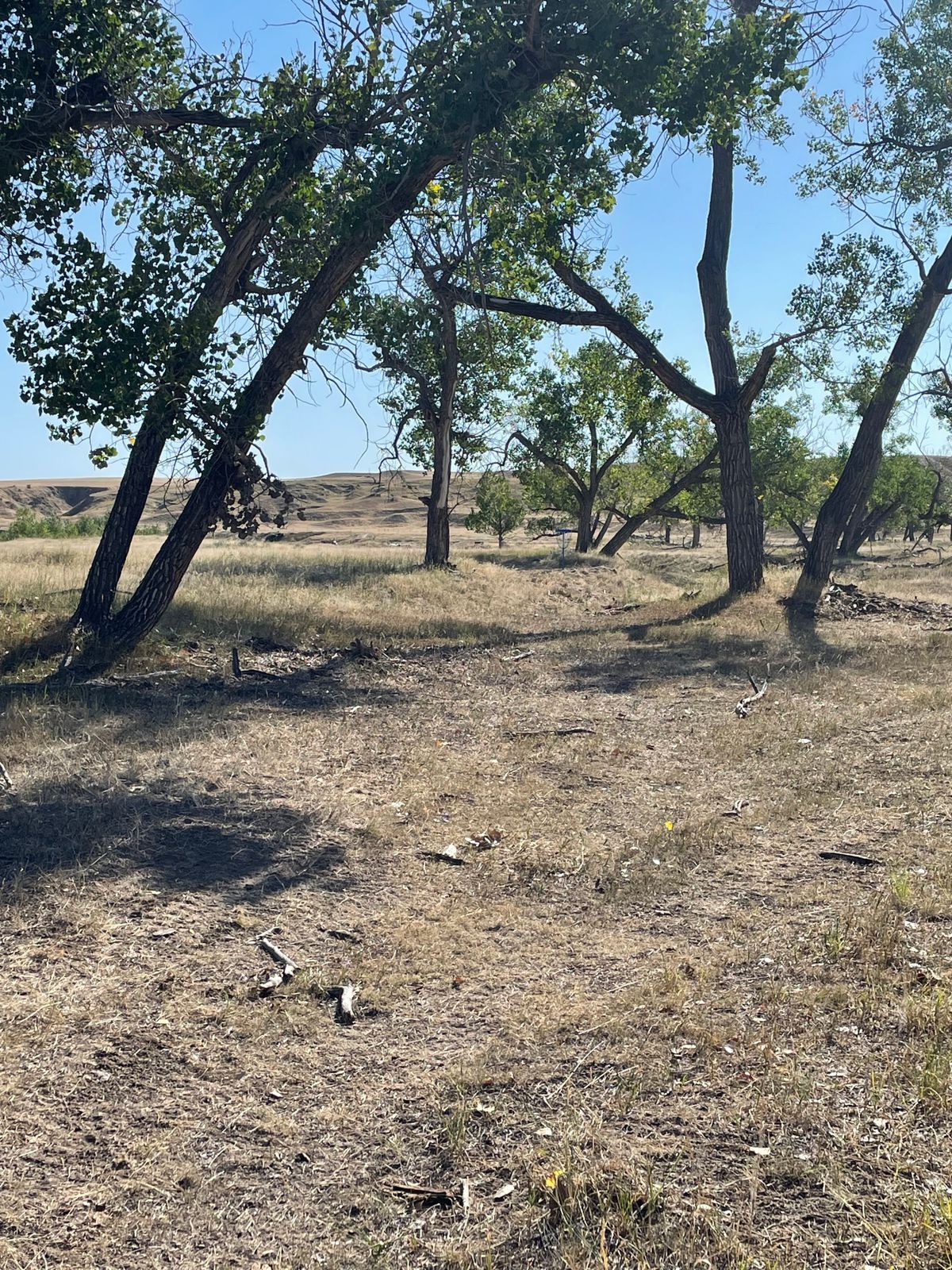 Hole 4 from tee pad