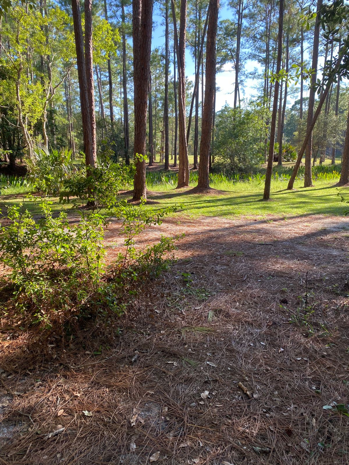 Hole #9 is a bear. After clearing woods is a tough shot to basket on waters opposite edge in trees.