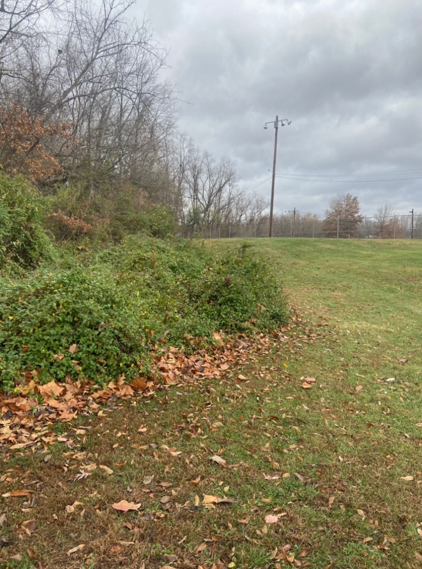 Short shot, out straight then tucked 20 feet to left into a little hollow into the wooded area