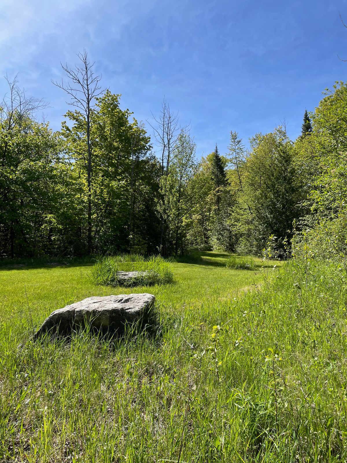 Hole 8, once you crest the hill and clear the lone guardian tree