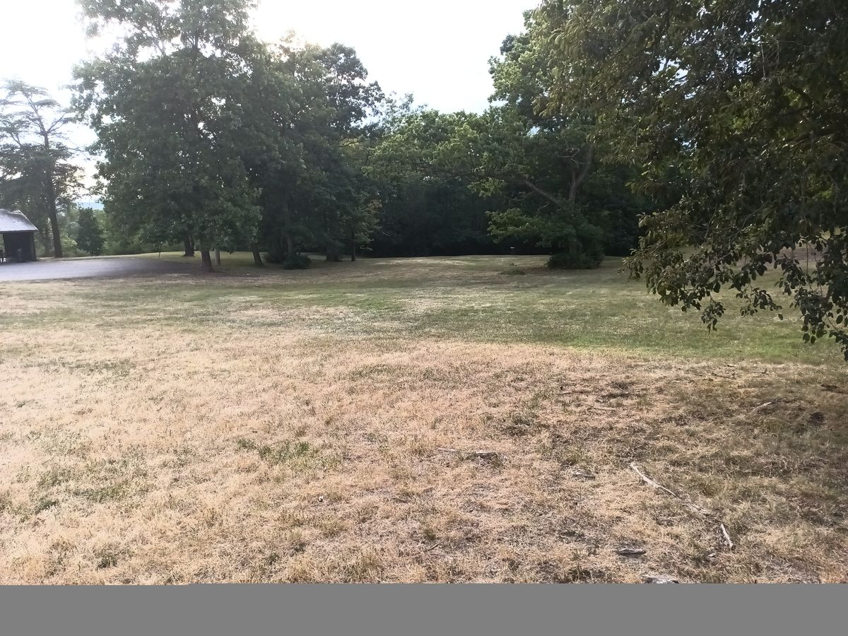 Hole 11