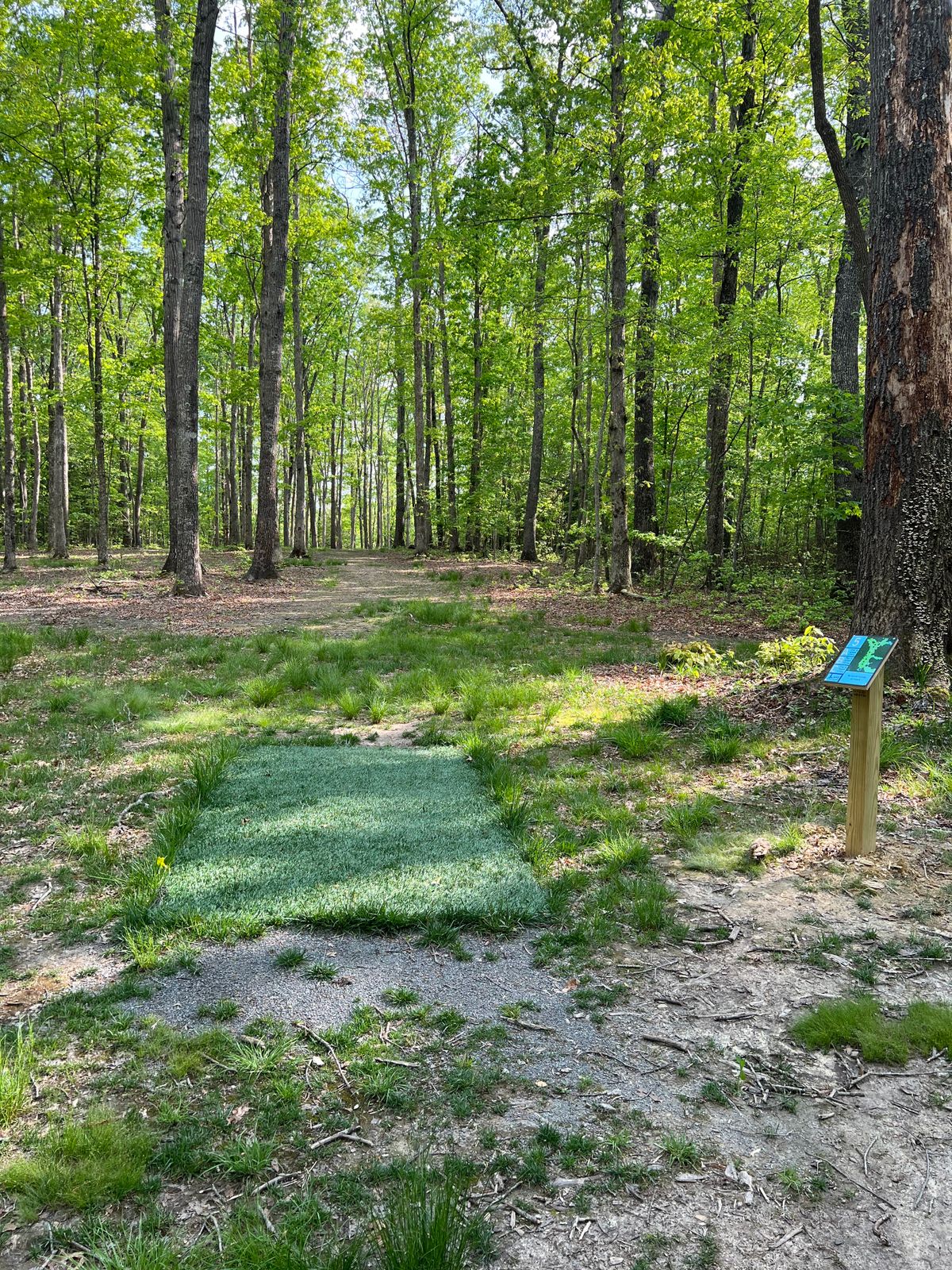 Hole 5 White Tee