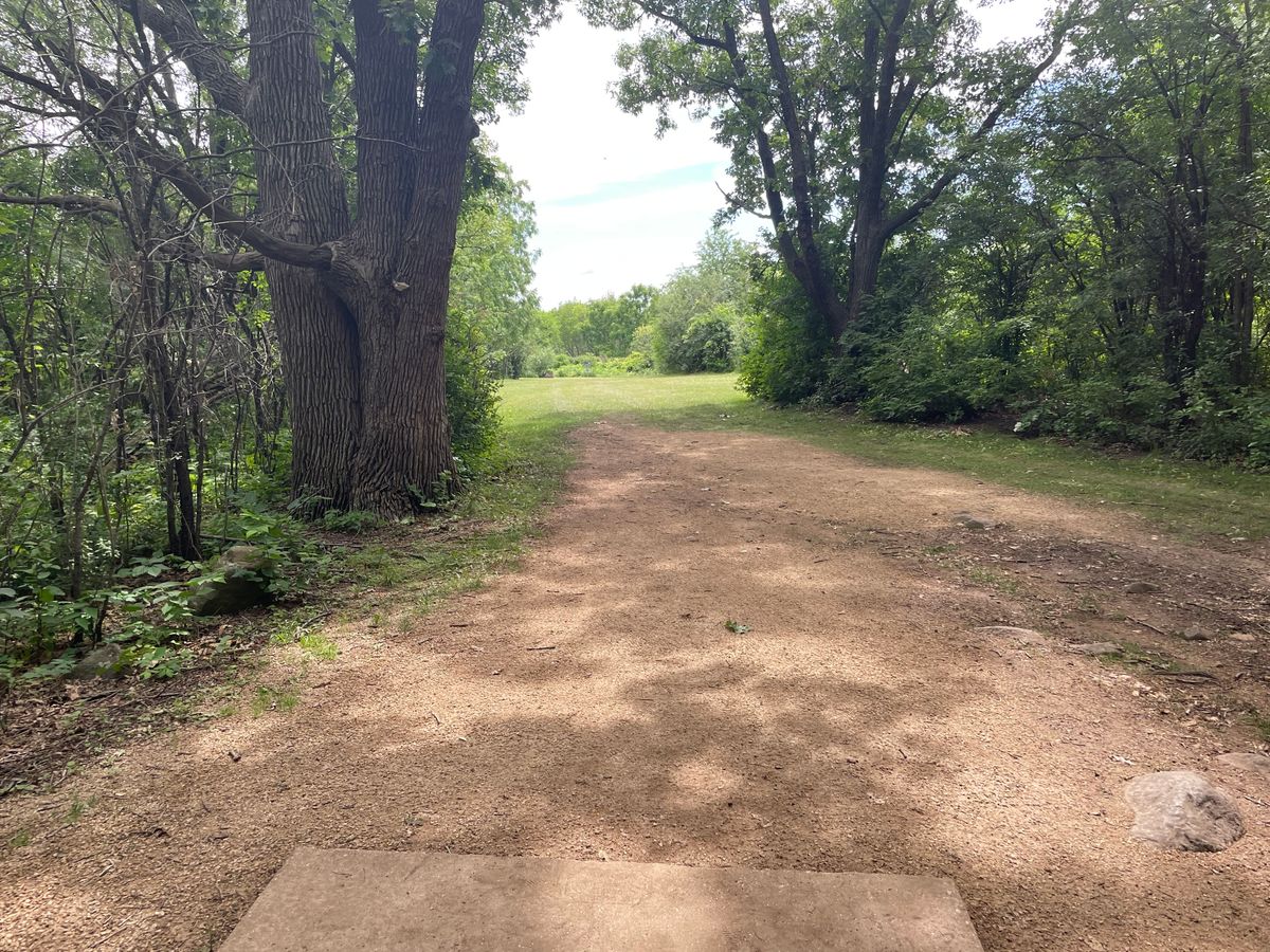 Hole 14 short tee