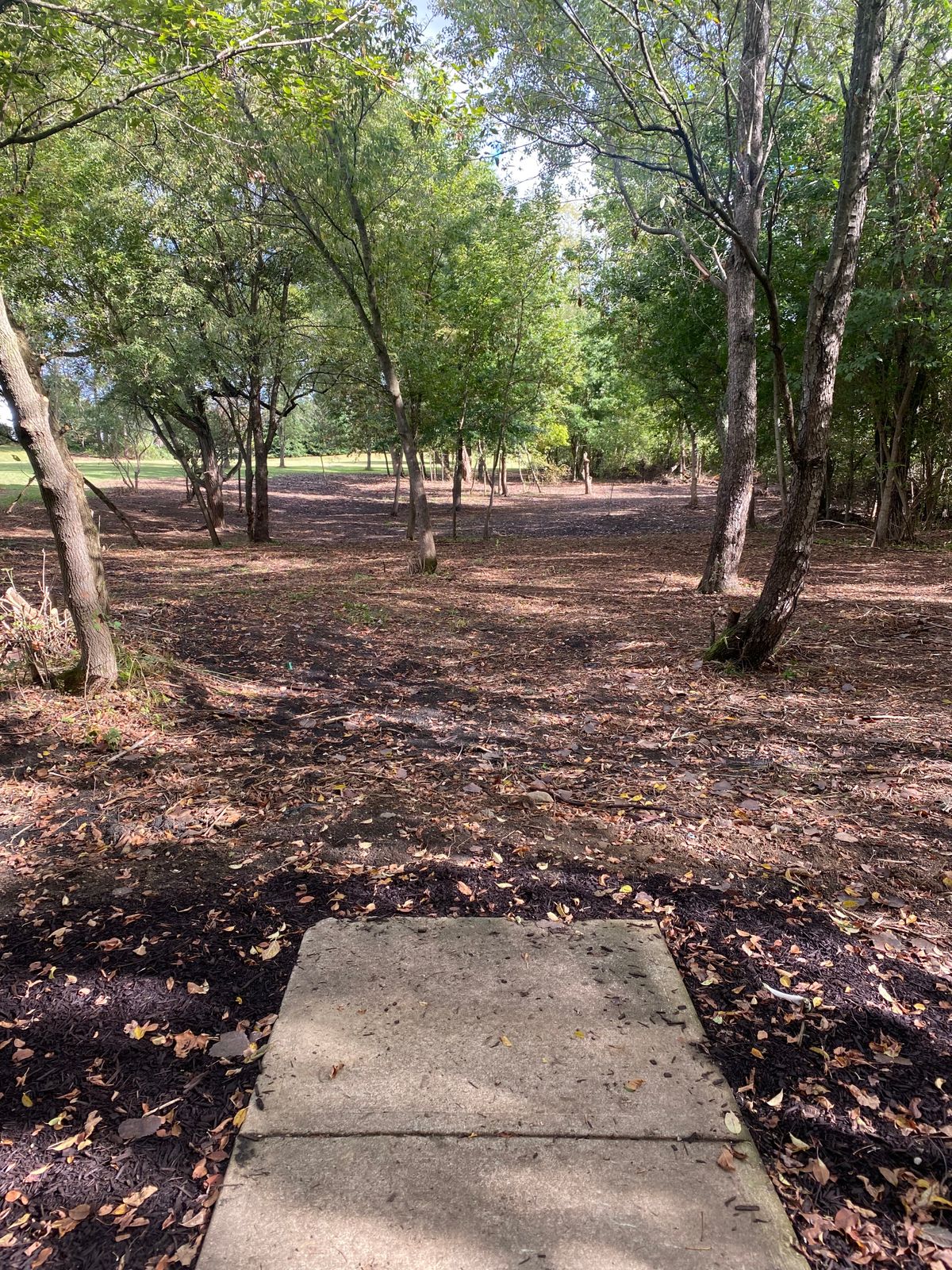 New hole 12