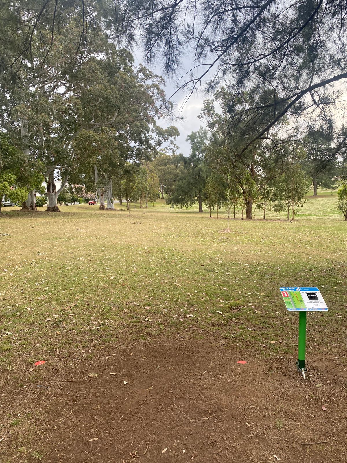 Hole 3 Fairway